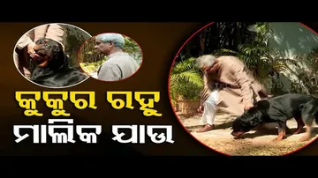 News Fuse | Former BJD MP Tathagat Satpathy’s unconditional love for dogs