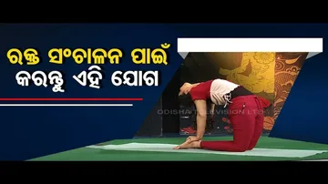 Roga Pain Yoga | Yoga asanas to improve blood circulation in the body