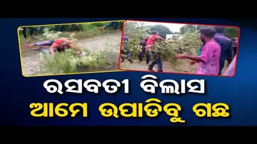 News Fuse - Man rolls with thorns during Holi celebrations