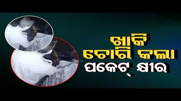 Watch milk-stealing police man in OTV News Fuse