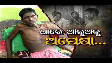 Apana eka nuhanti Ep 640 | May 31st 2023 | ଧାରେ ଆଲୁଅକୁ ଅପେକ୍ଷା...