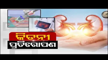 Doctor Doctor | Kidney Transplant: Purpose, Procedure & Recovery