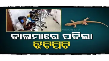 Students admitted to hospital in Bhadrak after lizard found in hostel food