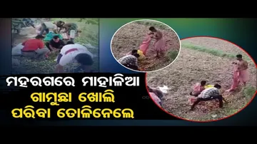 News Fuse | Locals loot veggies after truck turns turtle