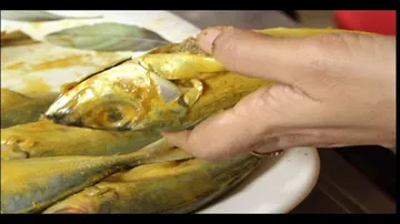 TASTE OF ODISHA EP 363 | 05 AUG 2023 | ଗୋଟା ଟମାଟୋ ବରା | Masla Pura Posta Macha