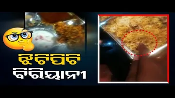 News Fuse | Lizard found in biryani at this hotel