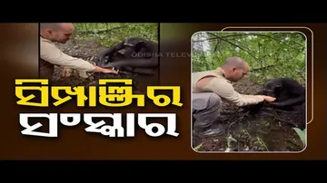 News Fuse | Chimpanzee washes man’s hands after he helps it drink water