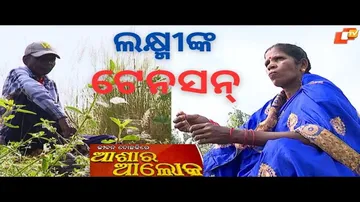Jibana Do Chhakire Ashara Alok Ep 385, 14 OCT 2023