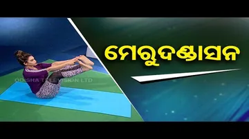Roga Paeen Yoga | Try merudandasan to stay fit
