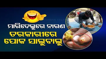 News Fuse | Worms infested food served to children