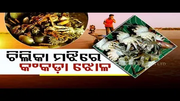 Taste Of Odisha | Know how to prepare this crab dish