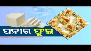Taste Of Odisha | Know how to prepare this dish using paneer