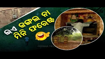 News Fuse | Spinning mill in Cuttack bites dust