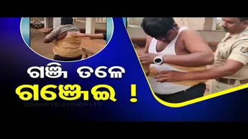 Ganja peddler apprehended with stash strapped to chest in Odisha