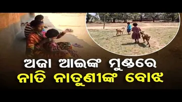 Apana Eka Nuhanti | Elderly couple in Sundargarh urges govt to help grandchildren