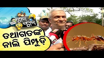 News Fuse 14 JUN 2024