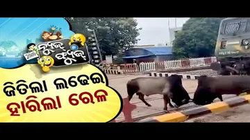 News Fuse 08 JULY 2024