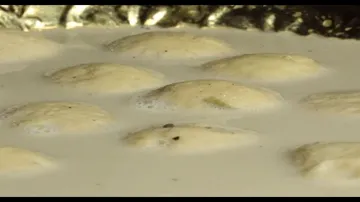 TASTE OF ODISHA EP 404 | 20 JULY 2024 | କ୍ଷୀର ସାଗର