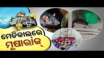 News Fuse 31 JULY 2024 |  ମେଡିକାଳ୍ ରେ ମୂଷାରାଜ୍ | ବାସନ ମାଜିଲେ ବିଧାୟକ !