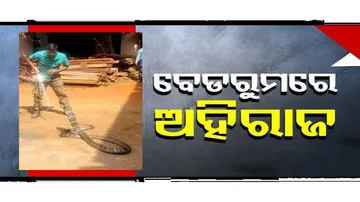 Special Story: ବେଡରୁମରେ ପସିଗଲା ୧୫ ଫୁଟଆ ଅହିରାଜ ସାପ, ତାପରେ...