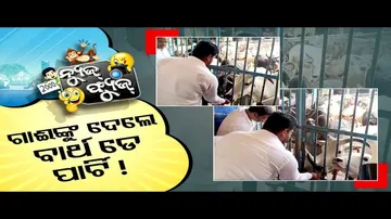 News Fuse 09 Oct 2024