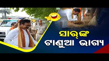 News Fuse: What MP Bringing to the Table?