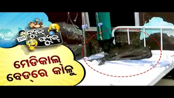 News Fuse 25 Oct 2024