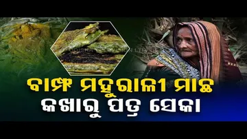 Taste of Odisha: Know How to Prepare This Fish Dish