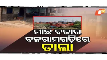 Climate Change Hits Marine Fishing, Balaramgadi Market Faces Crisis