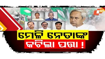 Naveen Patnaik Re-elected BJD Chief for 9th Time, Internal Discord Lingers Amid Key Absentees