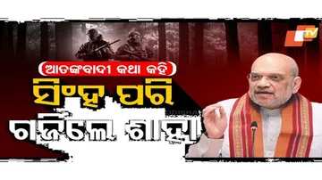 ଆତଙ୍କବାଦୀଙ୍କୁ ନେଇ ସିଂହ ପରି ଗର୍ଜିଲେ ଅମିତ ଶାହା