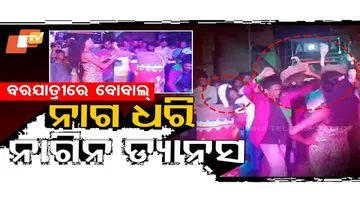 ମୁଣ୍ଡରେ ସତ ସତିକା ନାଗକୁ ଧରି ନାଗିନ୍ ଡ୍ୟାନ୍ସ କରୁଥିଲେ ବରଯାତ୍ରୀ
