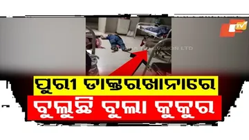 ବଡଡାକ୍ତରଖାନାରେ ବୁଲୁଛି ବୁଲା କୁକୁର