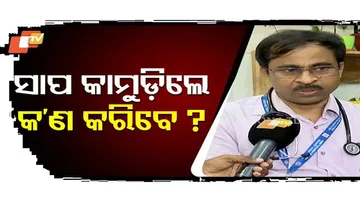 Monsoon Snake Surge: What to Do If Bitten — Expert Dr Ranjan Kumar Raj Explains