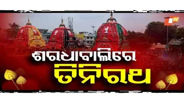 ଭାଇଭଉଣୀଙ୍କ ପଛେ ପଛେ ଆସି କାଳିଆ ଠାକୁର ବି ଶରଧାବାଲିରେ
