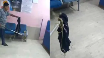 ଷ୍ଟେଟ୍‌ ବ୍ୟାଙ୍କରେ ନାଗ