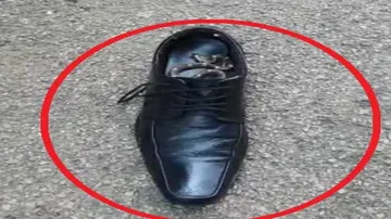 ଜୋତା ଭିତରେ ସାପ, ଅଳ୍ପକେ ବର୍ତ୍ତିଲେ ଏସ୍‌ପି