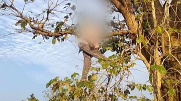 ବାପାଙ୍କୁ ହତ୍ୟା କରି ପୁଅର ଆତ୍ମହତ୍ୟା !