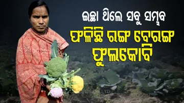various colors of cauliflower