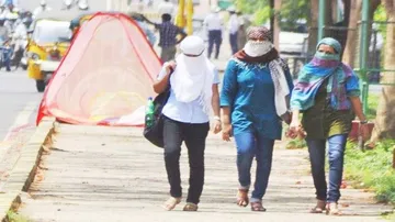 ତାତିରୁ ମିଳିବ ତ୍ରାହି