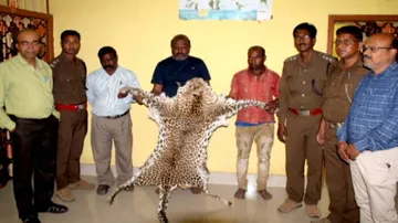 କଲରାପତରିଆ ବାଘ ଚମଡ଼ା ଜବତ: ୩ ଗିରଫ