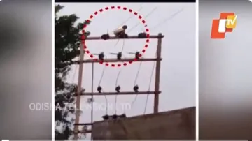 ୩୦ ଫୁଟ୍‌ ଟ୍ରାନ୍ସଫର୍ମର ଉପରକୁ କାହିଁକି ଚଢ଼ିଥିଲା ୮ ବର୍ଷର ଶିଶୁ