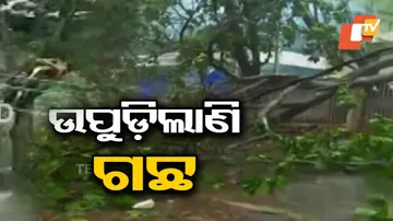 ‘ଫୋନି’ ପ୍ରବାହ: ଗଛ ଉପୁଡ଼ିଲା, ଘର ଭାଙ୍ଗିଲା