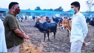 ବଡ଼ଦାଣ୍ଡରେ ଭିକ୍ଷାବୃତ୍ତି କରୁଥିବା ୫୦୦ ଭିକ୍ଷୁକଙ୍କ ଥଇଥାନ,