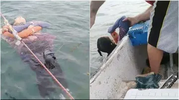 ୨ ବର୍ଷ ତଳେ ନିଖୋଜ ଥିଲେ ମହିଳା, ଜୀବିତ ଅବସ୍ଥାରେ ସମୁଦ୍ରରୁ ଉଦ୍ଧାର ହେଲେ