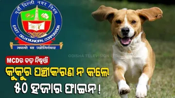 ପୋଷା କୁକୁରକୁ ପଞ୍ଜୀକରଣ ନ କଲେ ଦେବାକୁ ହେବ ୫୦ ହଜାର ଟଙ୍କା ଜରିମାନା