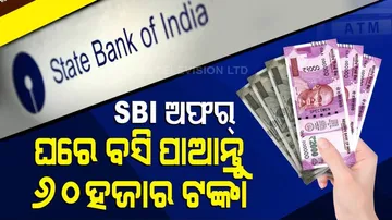 Special Story | Earn Rs 60, 000 From Home Per Month, Know Details About SBI\'s \'Mega Offer\'