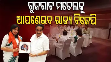 Odisha BJP To Follow Gujarat Model For Winning Streak