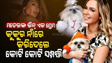 ପ୍ଲେ ବଏ ମଡେଲଙ୍କ କୁକୁର ପ୍ରେମ : ପାଳିତ କୁକୁର ନାଁରେ କରିଦେଲେ ସମସ୍ତ ସମ୍ପତ୍ତି, ଦାମୀ କାର ଏବଂ ଆପାର୍ଟମେଣ୍ଟ