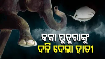 କକା-ପୁତୁରାକୁ ଦଳି ଦେଲା ଦନ୍ତା